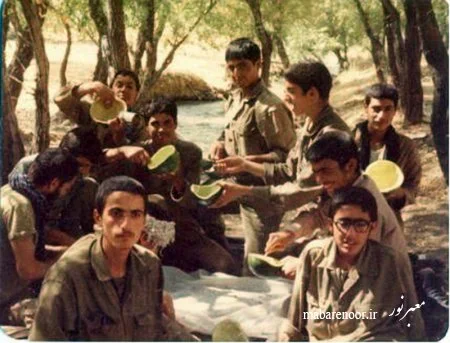 نگوييد کشتزار، بگوييد مينزار